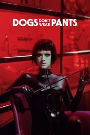 Dogs Don’t Wear Pants (2019) Full Movie Download Gdrive