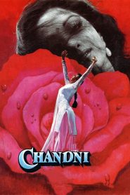 Chandni (1989) Full Movie Download Gdrive Link