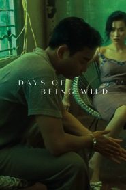 Days of Being Wild (1990) Full Movie Download Gdrive Link