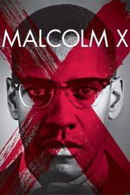 Malcolm X (1992) Full Movie Download Gdrive Link