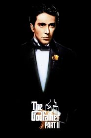 The Godfather: Part II (1974) Full Movie Download Gdrive Link