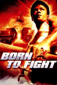 Born to Fight (2004) Full Movie Download Gdrive Link