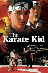 The Karate Kid (1984) Full Movie Download Gdrive Link