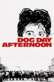 Dog Day Afternoon (1975) Full Movie Download Gdrive Link