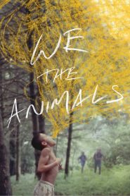 We the Animals (2018) Full Movie Download Gdrive