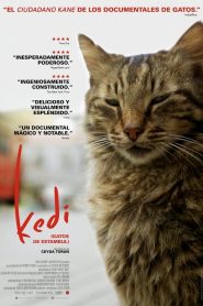 Kedi (2017) Full Movie Download Gdrive Link
