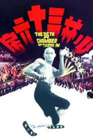 The 36th Chamber of Shaolin (1978) Full Movie Download Gdrive Link