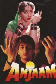 Anjaam (1994) Full Movie Download Gdrive Link