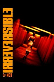 Irreversible (2002) Full Movie Download Gdrive Link