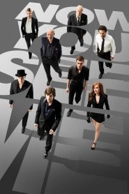 Now You See Me (2013) Full Movie Download Gdrive Link