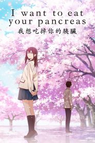 I Want to Eat Your Pancreas (2018) Full Movie Download Gdrive Link