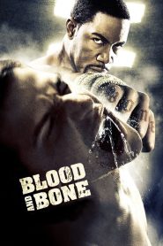 Blood and Bone (2009) Full Movie Download Gdrive Link