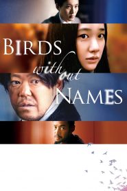 Birds Without Names (2017) Full Movie Download Gdrive Link