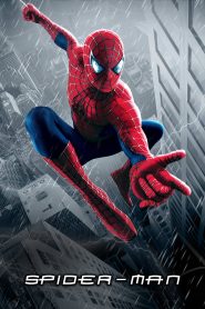 Spider-Man (2002) Full Movie Download Gdrive Link