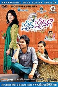Happy Happy Ga (2010) Hindi Dubbed Full Movie Download Gdrive Link