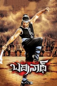 Badrinath (2011) Hindi Dubbed Full Movie Download Gdrive Link