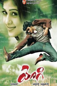 Yogi (2007) Hindi Dubbed Full Movie Download Gdrive Link