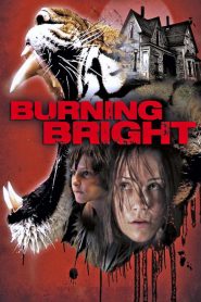 Burning Bright (2010) Full Movie Download | Gdrive Link