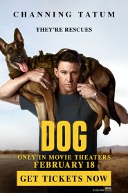 Dog (2022) Full Movie Download | Gdrive Link