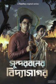 Sundarbaner Vidyasagar (2022) S01 Complete Bengali Hoichoi Web Series WEB-DL Download