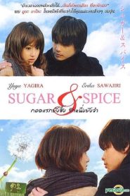 Sugar & Spice (2006)  1080p 720p 480p google drive Full movie Download