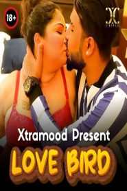 Love Bird 2023 Hindi Xtramood Short Films 720p HDRip Download