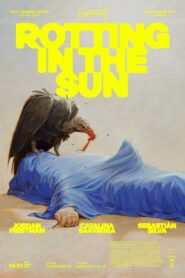 Rotting in the Sun (2023)  1080p 720p 480p google drive Full movie Download and watch Online