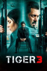 Tiger 3 2023 Hindi HDTC 1080p 720p 480p x264 AAC Full Runtime